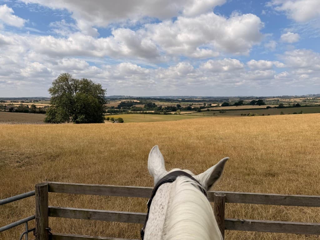 Rolling countryside viewed from Burmington